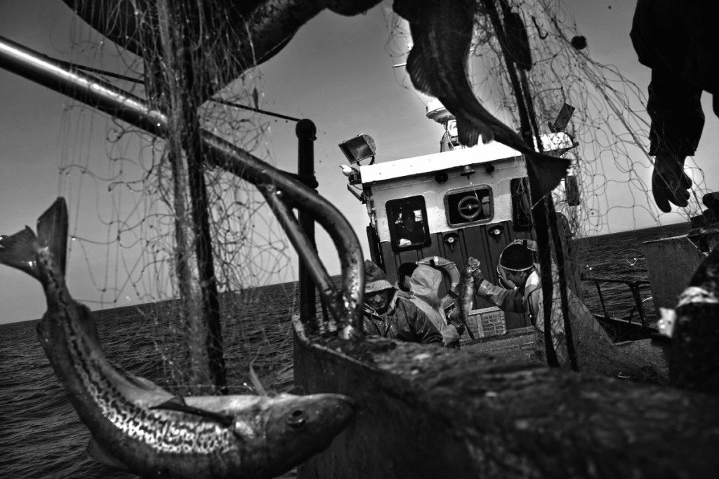 Recovering the net. Fishing boat (Dorka) Number 49. Sakhalin region, the North Pacific

The Sakhalin region stretches across 59 islands off the eastern coast of Russia. Most of these islands came under Soviet jurisdiction in September 1945, following an agreement drawn up at the Potsdam peace conference after the end of World War II. In the 1940s, about 300,000 Japanese citizens repatriated to Japan from Sakhalin and from the Kuril islands, while the number of Soviet residents grew from 70,000 to 450,000 people. 

The disagreement over which country owns these territories continues to this day. 

Today, island residents lead a tough life mostly based around fishing, selling to markets in Russia and Japan. The disagreement over which country owns these territories continues to this day. 